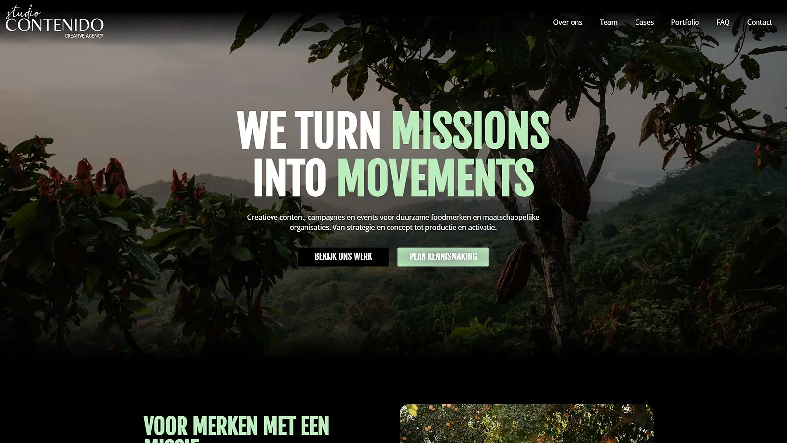 Studio Contenido — site na de re-build